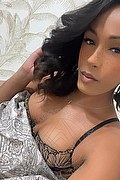 Foto selfie 2 di Gabrielly Victoria transexescort Parigi
