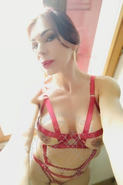 Foto selfie hot di Claudia B. transexescort Milano