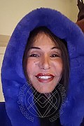 Foto selfie 2 di Federica Novità transexescort Udine