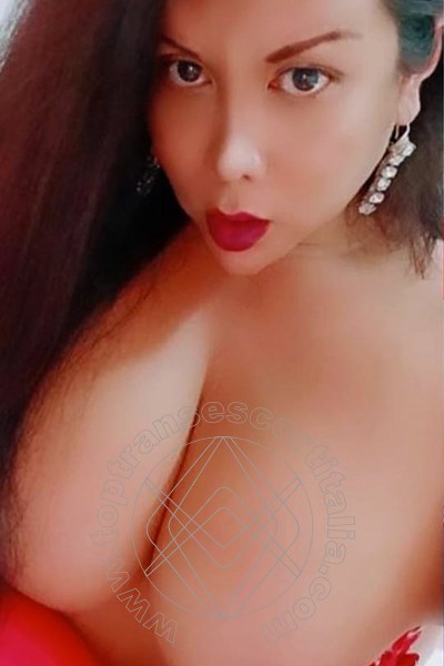 Foto selfie 1 di Barbarita Sexy transexescort Cinisello Balsamo