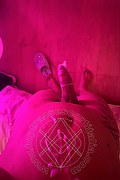 Foto selfie hot 2 di Lara melo transexescort Bologna