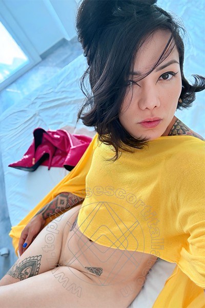 Foto selfie 29 di Jj La Numero Uno transexescort Torino