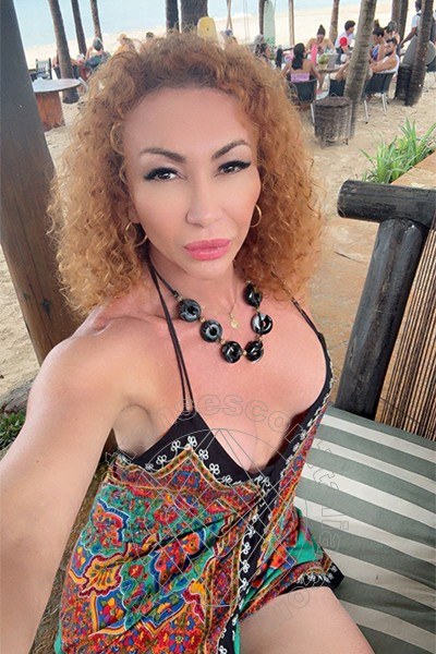 Foto selfie 5 di Leslyn transexescort Reggio Emilia