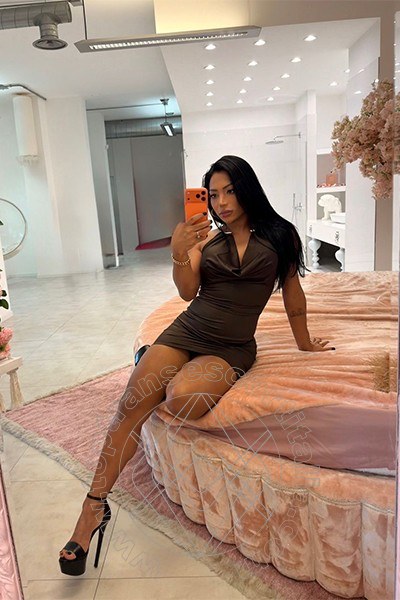 Foto selfie 9 di Manuella transexescort Torino