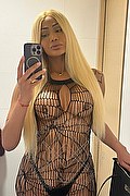 Foto selfie 1 di Keitty Tolposky transexescort Salvador bahia