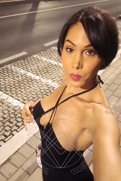 Foto selfie 2 di Paula transexescort Montesilvano