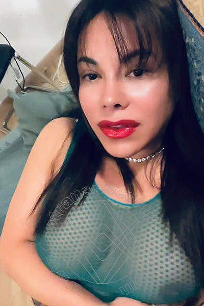 Foto selfie 10 di Elena transexescort Lignano Sabbiadoro
