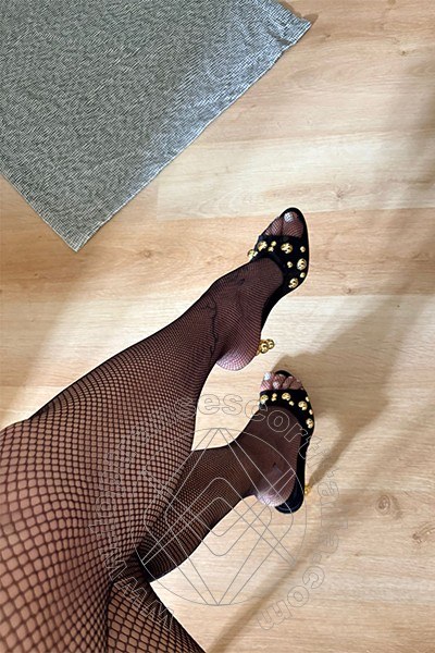 Foto selfie 8 di Valeria transexescort Treviso