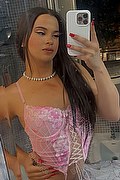 Foto selfie 1 di Bruna Bambolina transexescort Roma