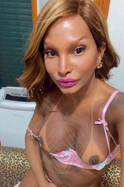 Foto selfie 7 di Vanessa Nocciola transexescort Civitanova Marche