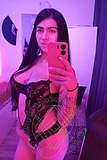 Foto selfie 1 di Kimberly doll transexescort Olgiate olona