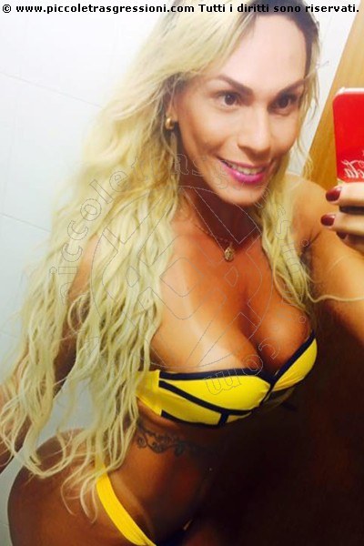 Foto selfie 6 di Camyli Victoria transexescort Rio De Janeiro
